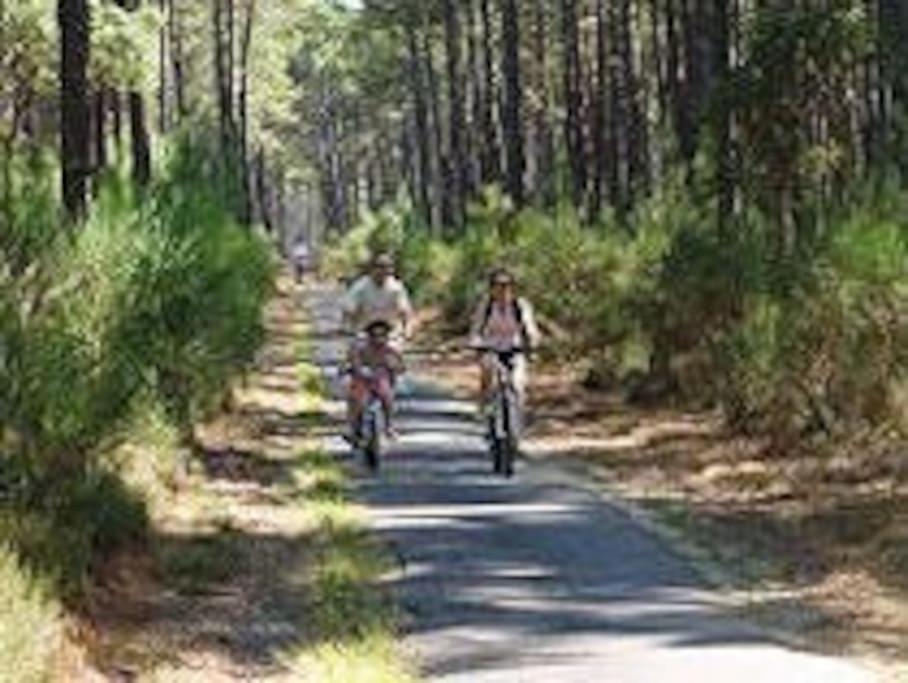 Maison De Vacances 4/5 Personnes A Leon, Landes Exterior photo